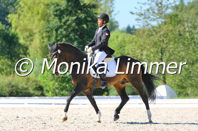 109M6925_Moraco_Dressur L_Mannschaft_e.JPG